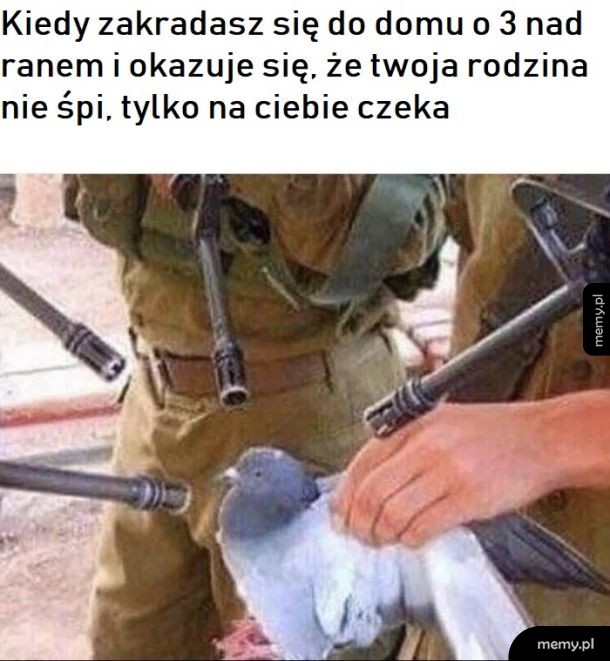 No to wpadka