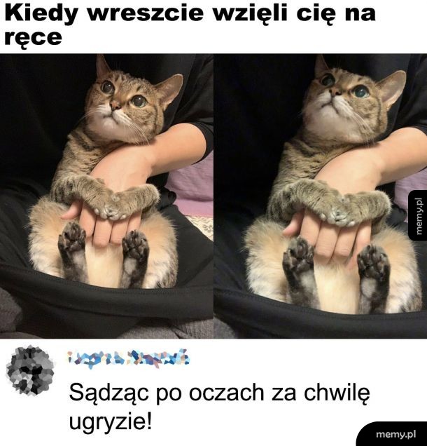 Na chwilę przed