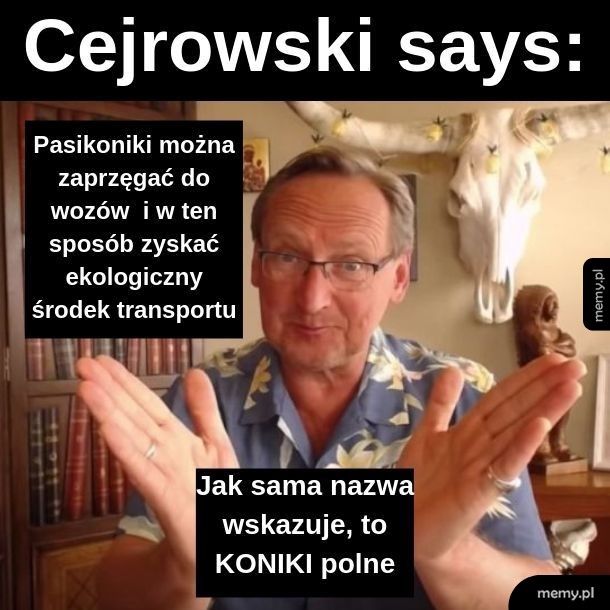 W Amazonii nie ma pożarów, bo to lasy deszczowe