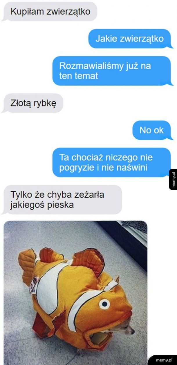 Zwierzątko