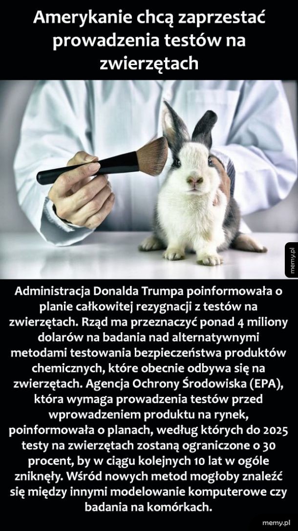 Testowanie na zwierzętach