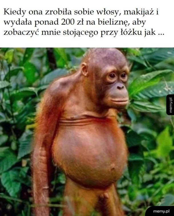 Dlatego każdy mężczyzna powinien również dobrze wyglądać.
