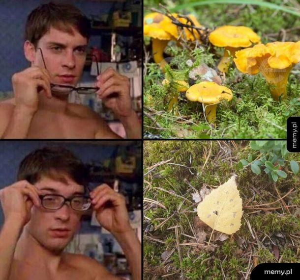 W okularach i bez
