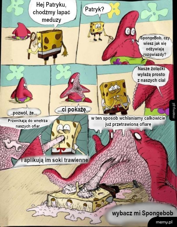 Anatomia morskich stworów