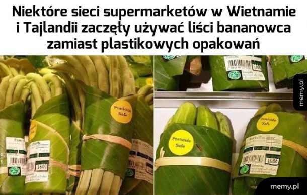 Brawo Wietnam