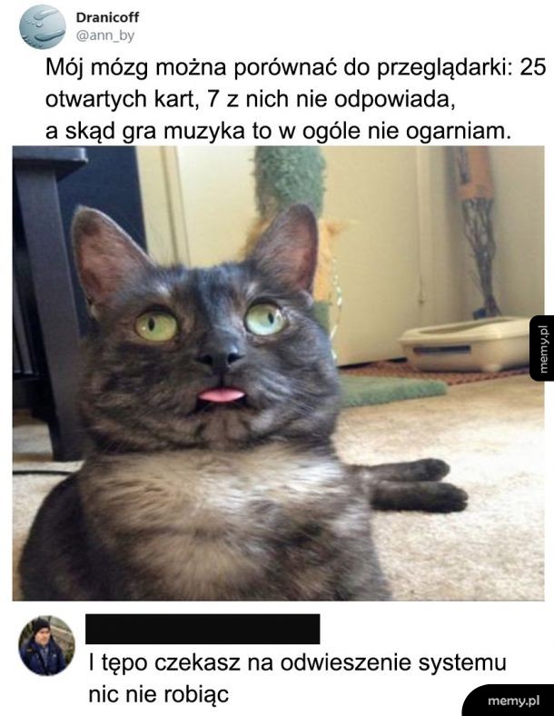 Mózg