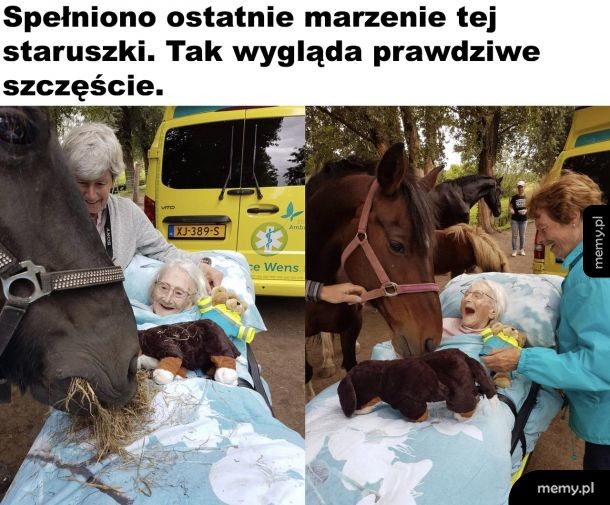 Warto pomagać