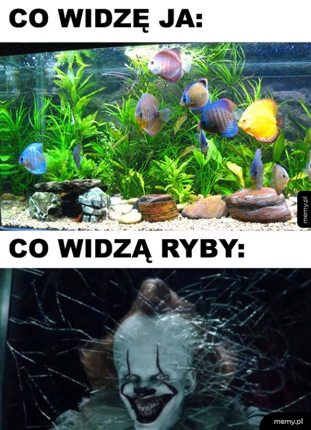 Mniej więcej tak to wygląda