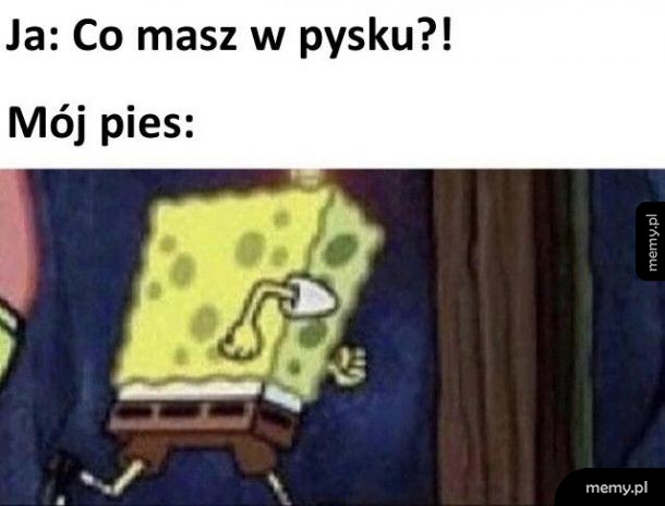 Co masz w pysku
