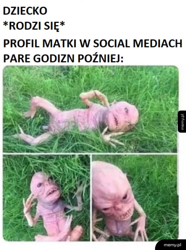 Słodkie dzieciaczki