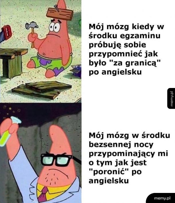 Mózgu why