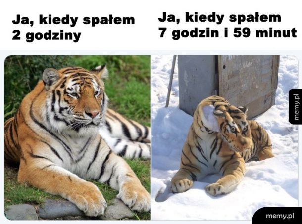 Dziwne