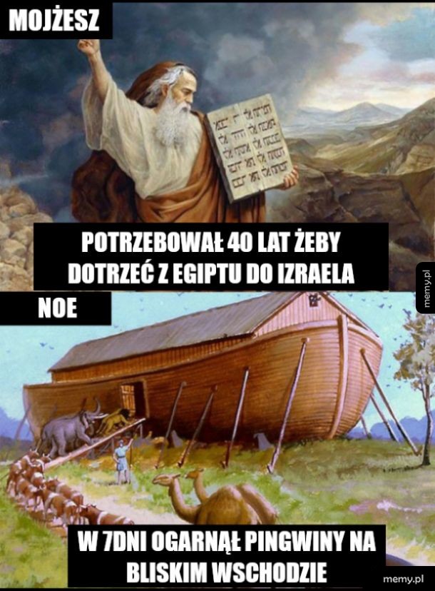 Starania na poziomie