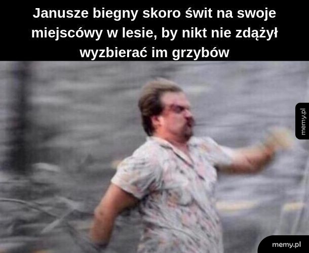 Grzybobranie