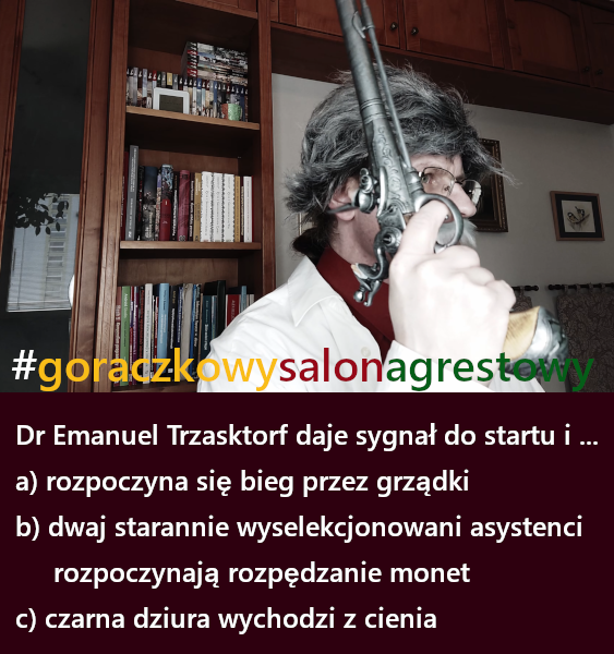 Sygnał do startu