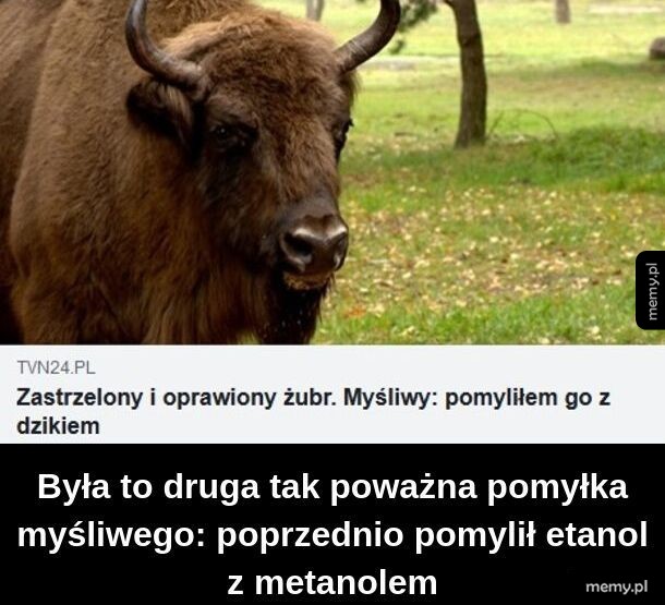 Pomyłka