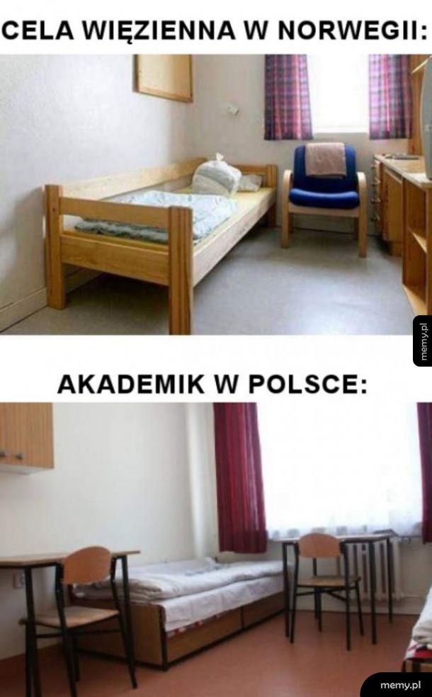 Światowe standardy