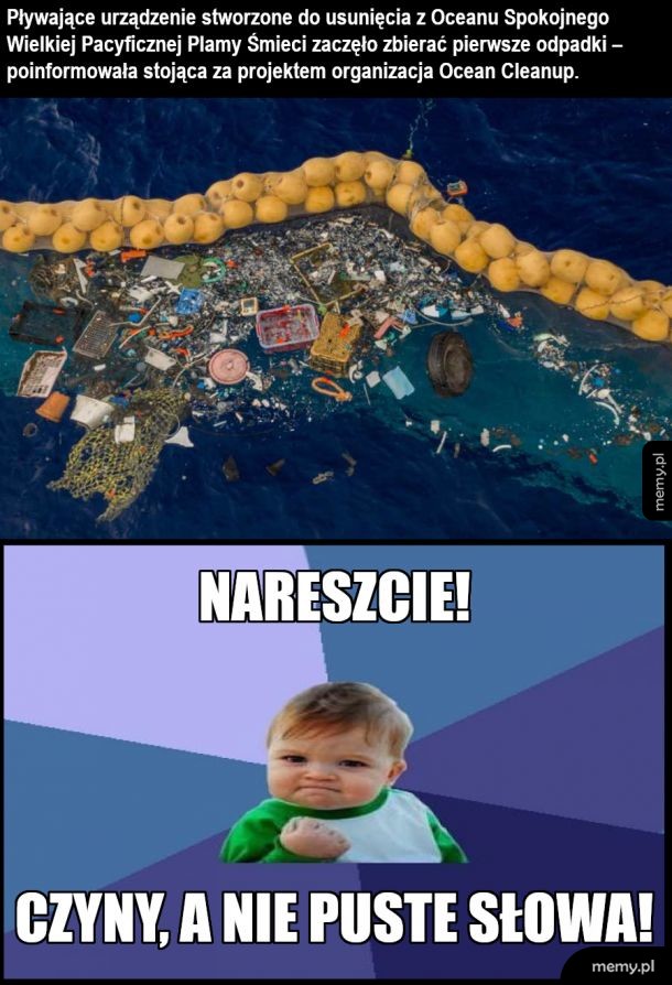 Hańba zielonym, którzy tylko krzyczą i biorą za to kase