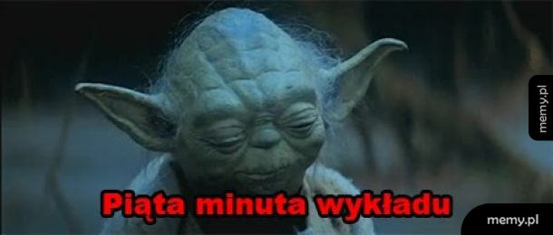 Studenci rozumieją