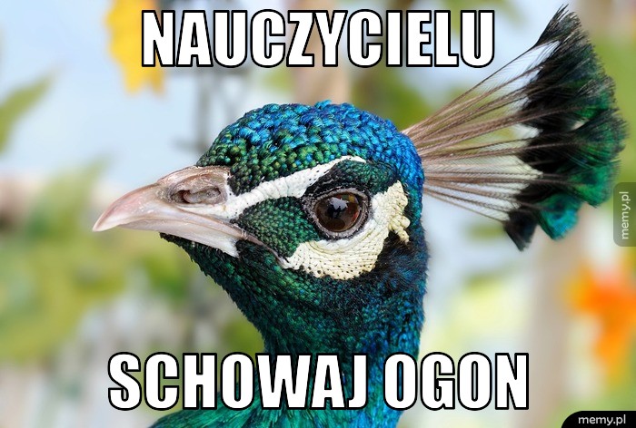 Nauczycielu schowaj ogon