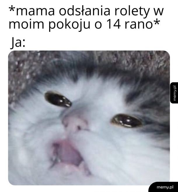 Zaspany