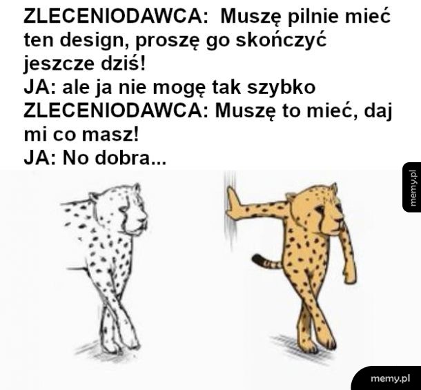 Projekt na szybko