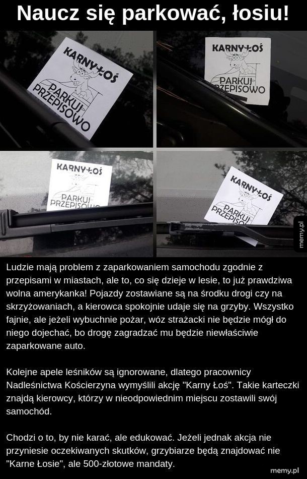 Karny łoś