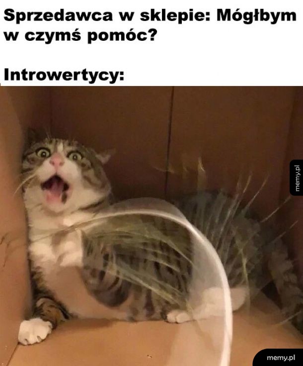 Introwertycy