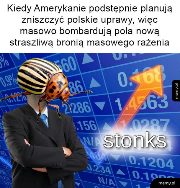 Stonka - twój wróg