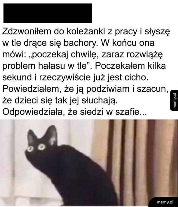 Szafa