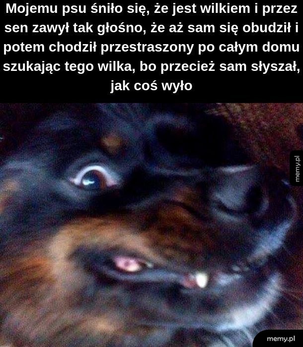 Sen pieseła