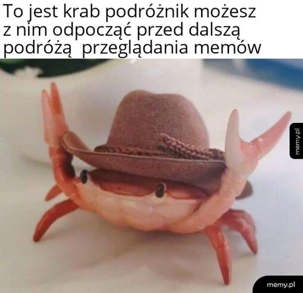 Odpoczynek