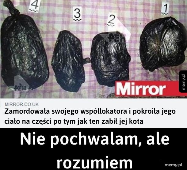 Współlokatorka