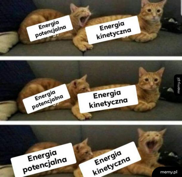 Fizyczne śmieszki