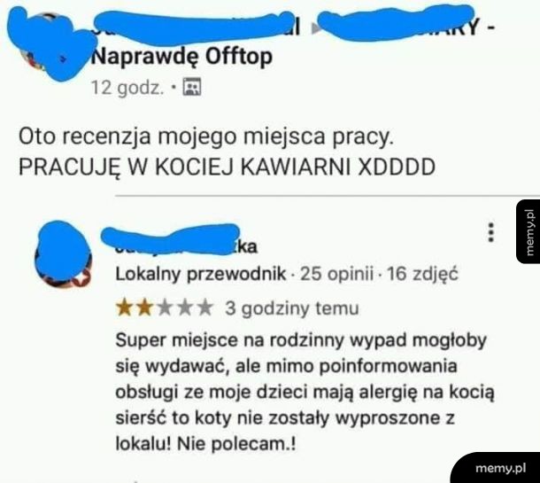 Kocia kawiarnia