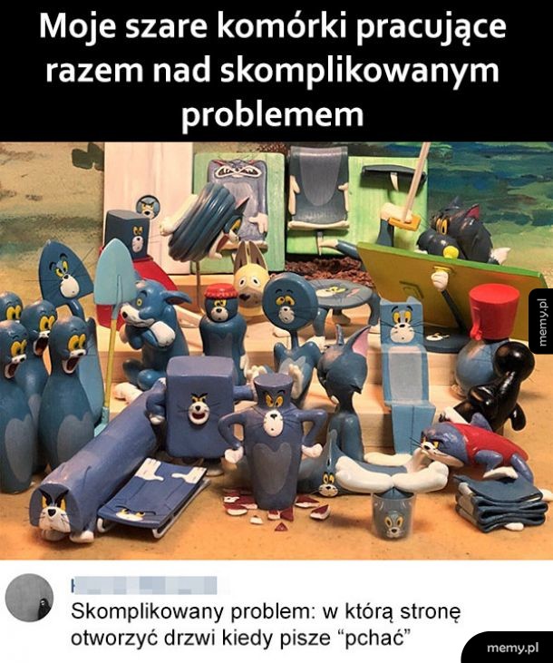 Moje szare komórki