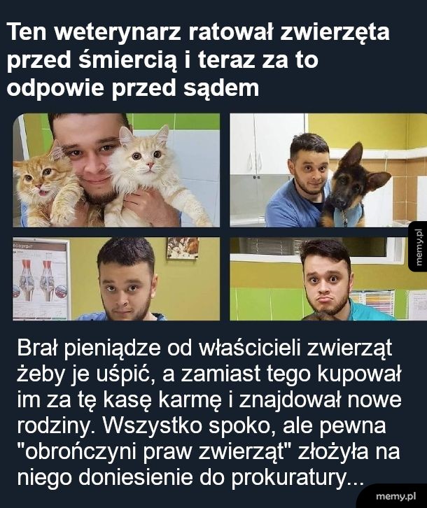 Kiedy kochasz zwierzęta