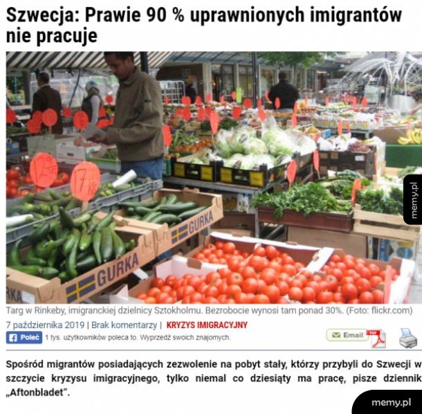 Imigranci w Szwecji stanowią 16.5% społeczeństwa i pochłaniają 65% wydatków socjalnych.