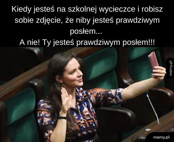 Prawdziwy poseł