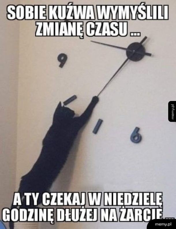 Ja wam dam!