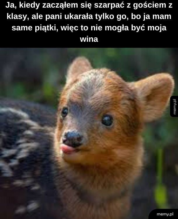 Szkolna sprawiedliwość