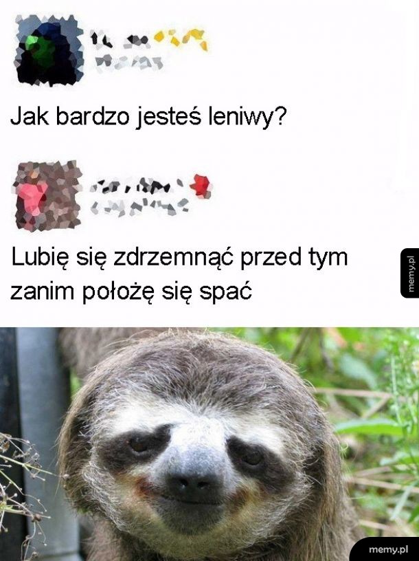 Lenistwo