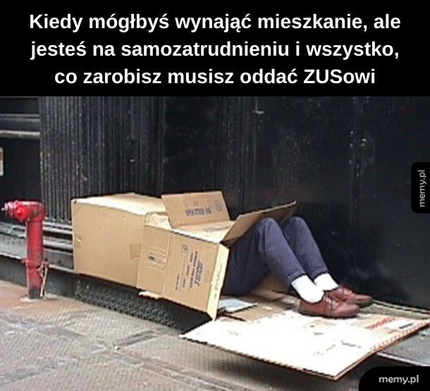 Samozatrudnieniowcy zrozumieją