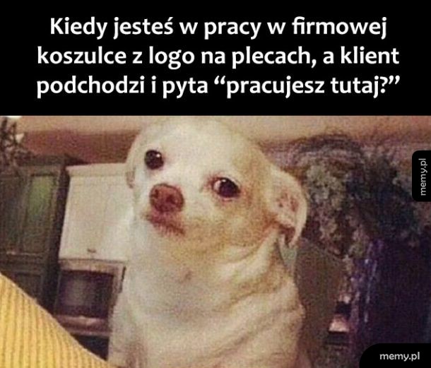 Klient