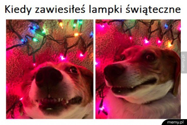Coraz bliżej święta