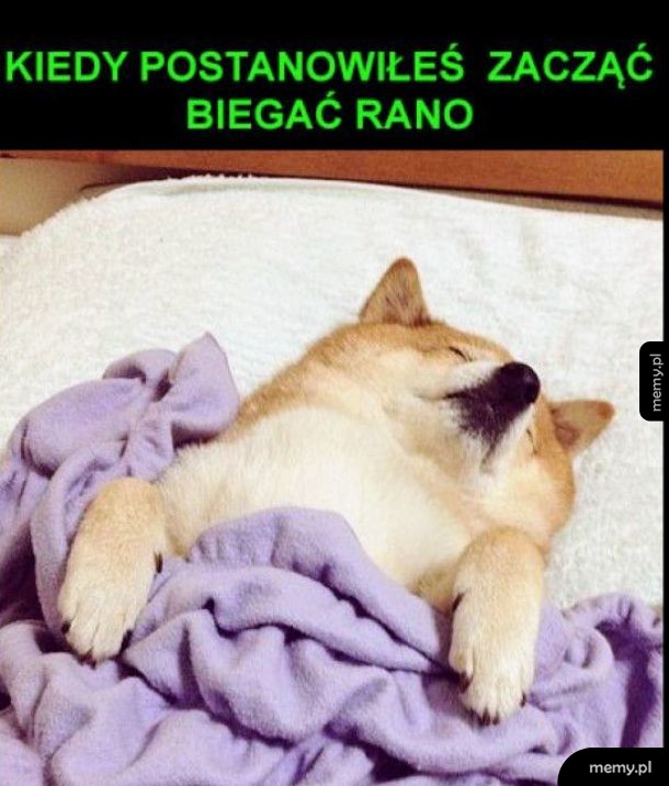 Postanowienia życiowe