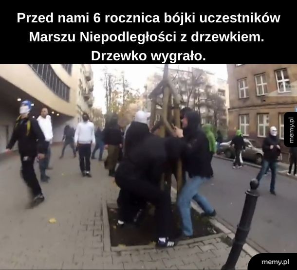 Buk Honor Ojczyzna