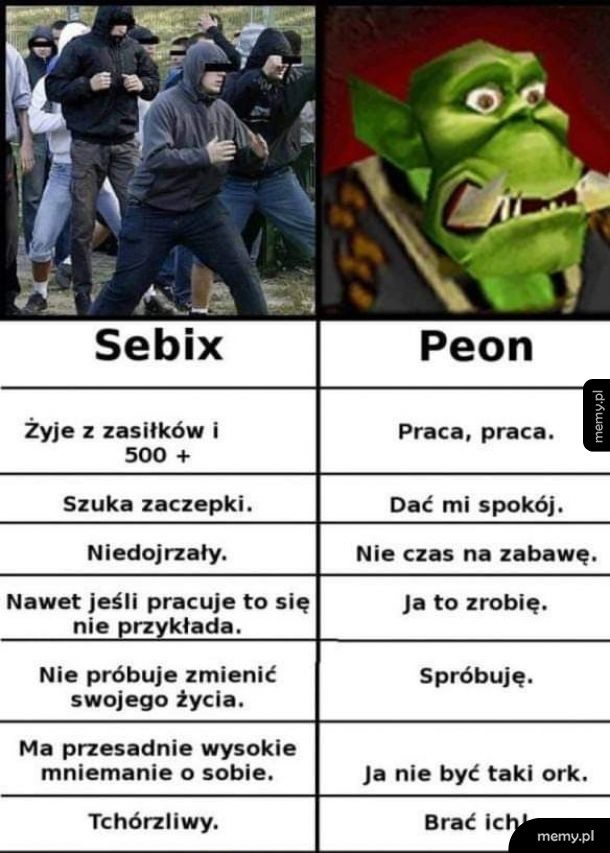 Wybór