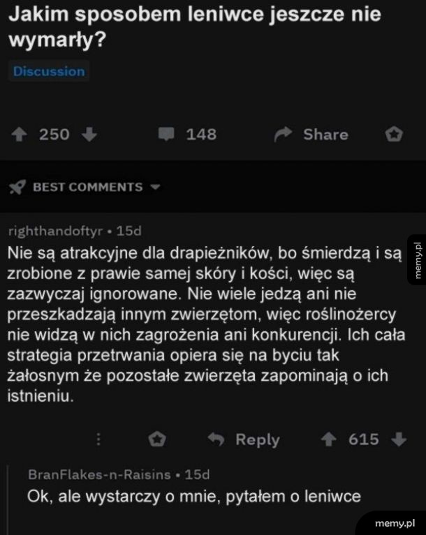 Leniwce