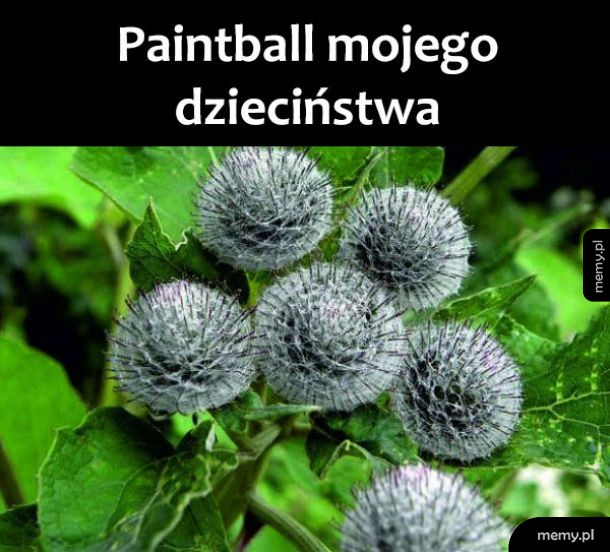 Paintball